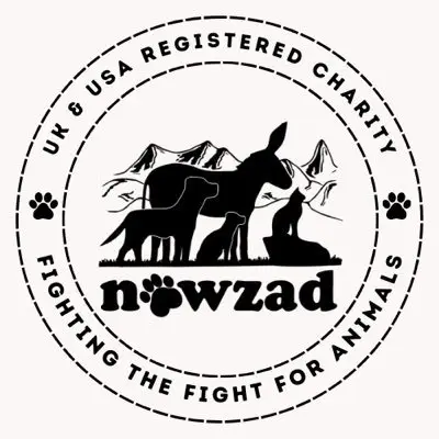 Nowzad